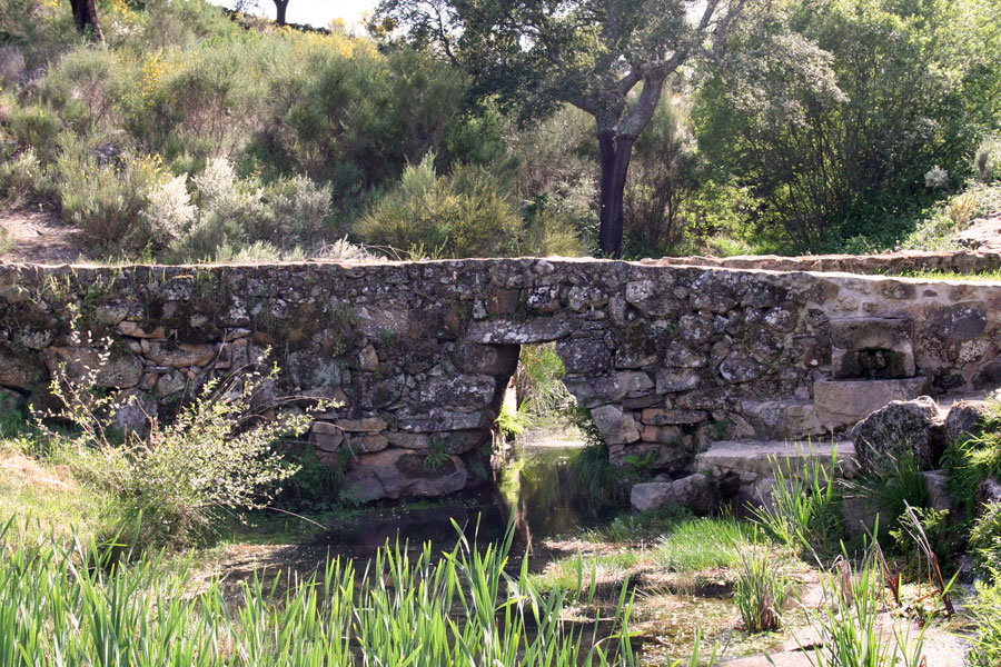 Arroyo La Macera