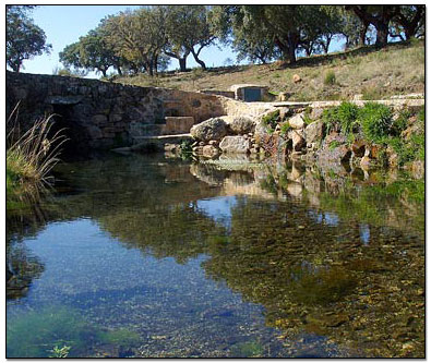 Servicios. Casa Rural Caceres Extremadura. Turismo Rural con encanto - La Macera - Valencia de Alcantara