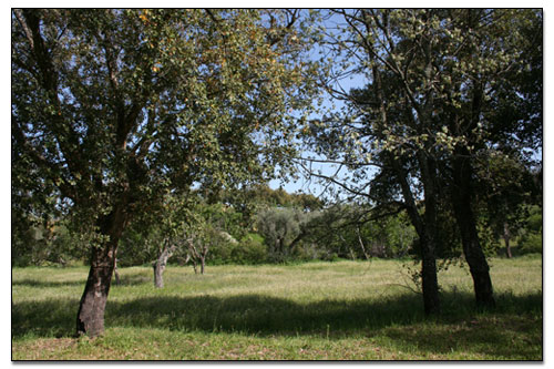 Servicios. Casa Rural Caceres Extremadura. Turismo Rural con encanto - La Macera - Valencia de Alcantara