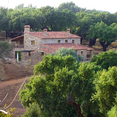 Bosque de alcornoques. Casa Rural Caceres Extremadura. Turismo Rural con encanto - La Macera - Valencia de Alcantara