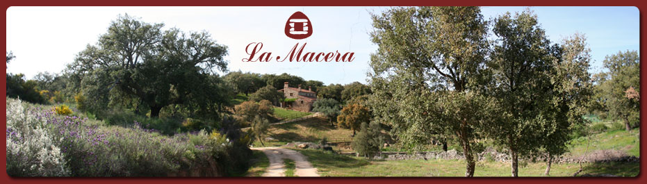 la macera