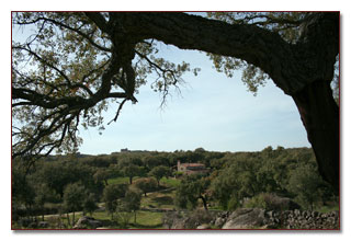 Servicios. Casa Rural Caceres Extremadura. Turismo Rural con encanto - La Macera - Valencia de Alcantara